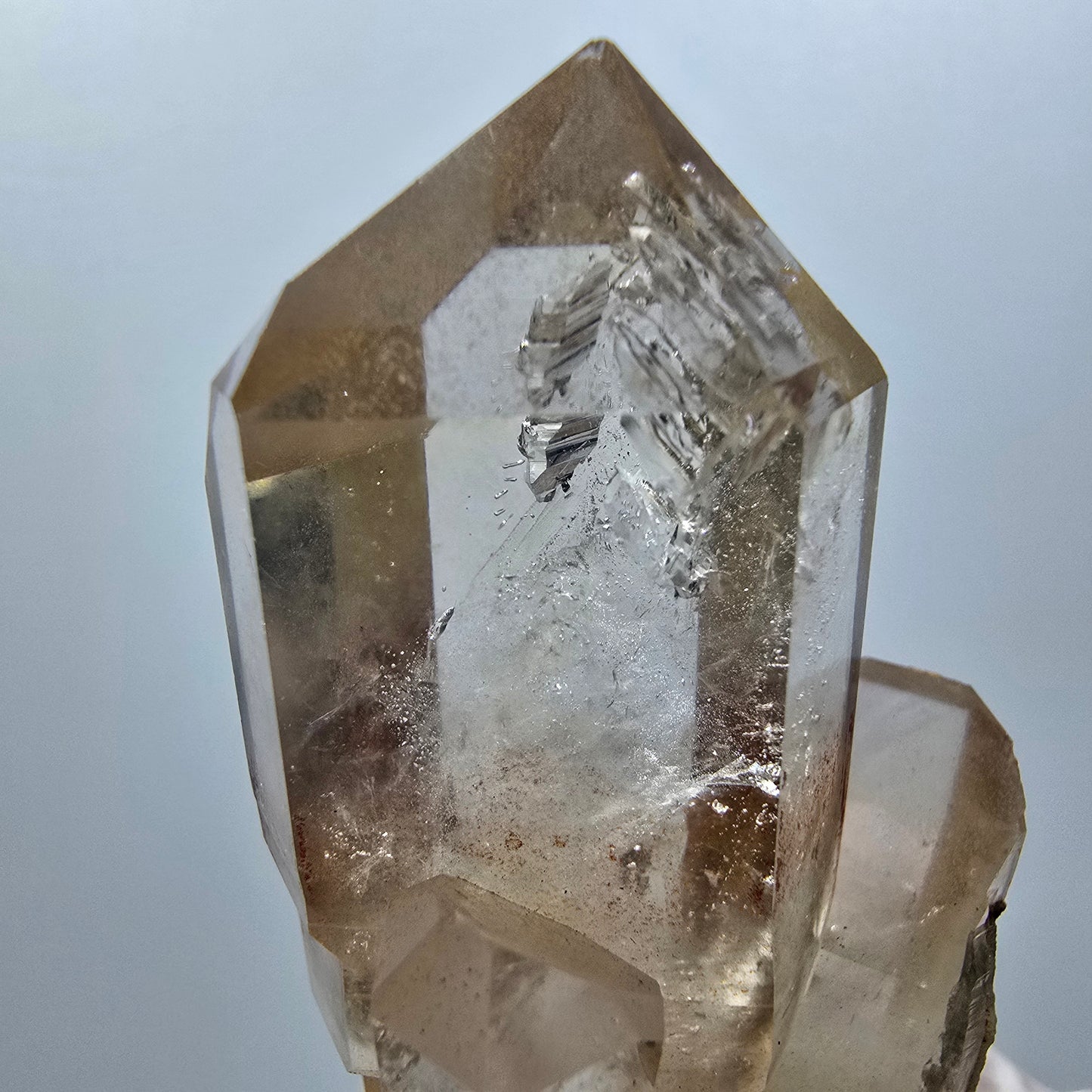 Seltene Phantom Rauchquarz Zepter Stufe Goboboseb, Namibia 62*36*26mm #12986