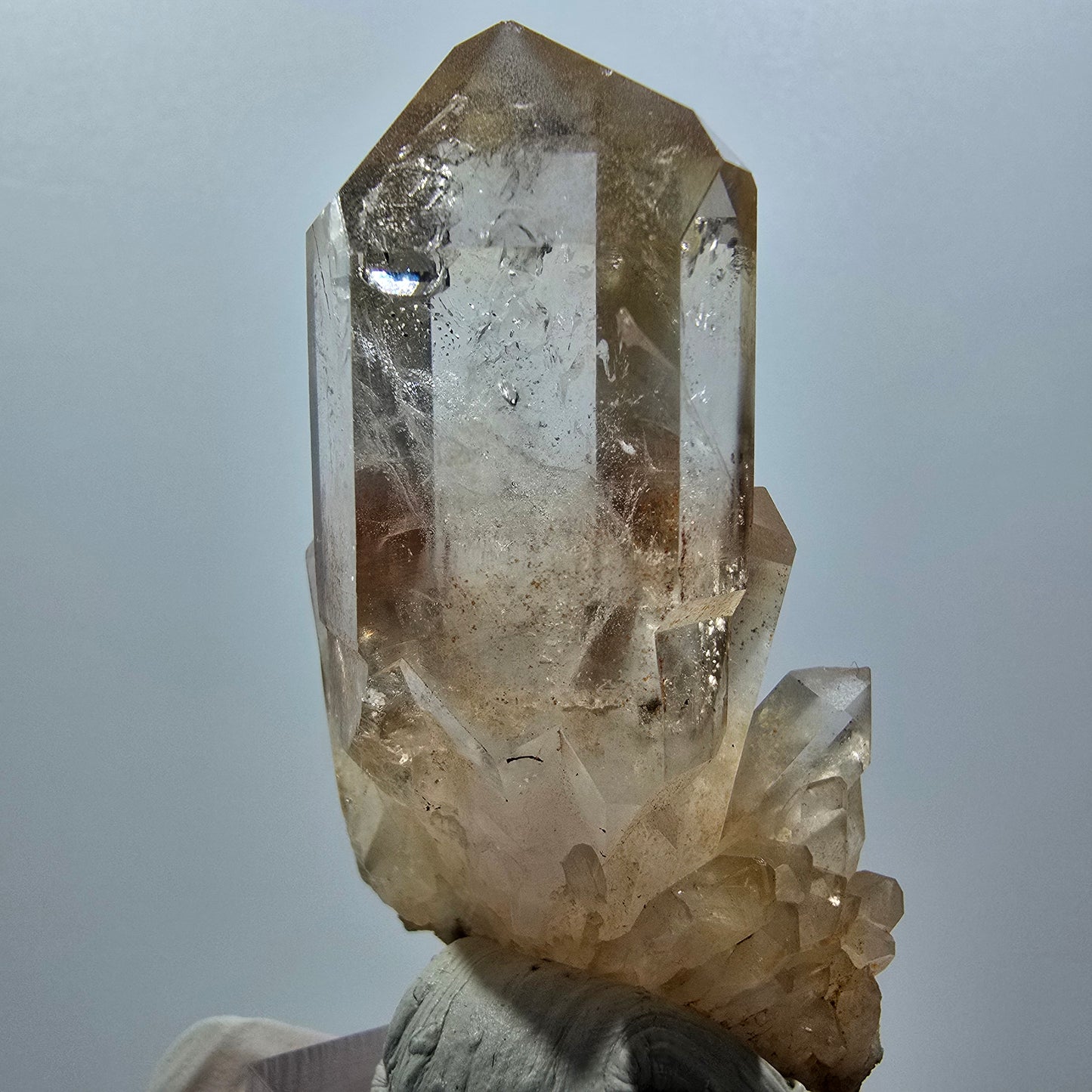 Seltene Phantom Rauchquarz Zepter Stufe Goboboseb, Namibia 62*36*26mm #12986
