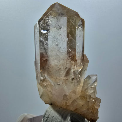 Seltene Phantom Rauchquarz Zepter Stufe Goboboseb, Namibia 62*36*26mm #12986