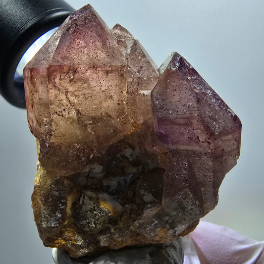 Skelett Phantom Amethyst Zepter auf Matrix Stufe Goboboseb, Namibia 49*38*33mm #12990