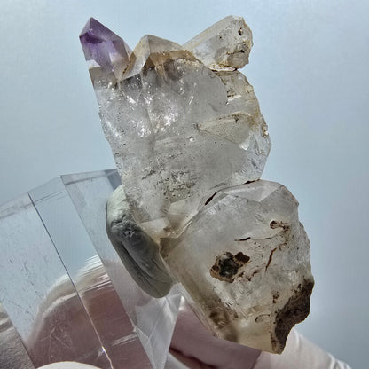 Seltene Skelett Phantom Amethyst Doppelender Spitze Goboboseb Namibia 55*24*18mm #12991