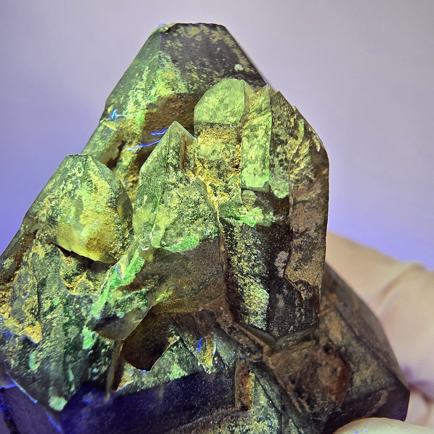 Seltene Skelett Phantom Amethyst Doppelender Spitze Goboboseb Namibia 54*40*26mm #12994