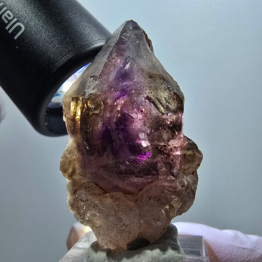 Enhydro Skelett Phantom Amethyst Spitze, 3x Blase Goboboseb, Namibia 46*27*21mm #12995