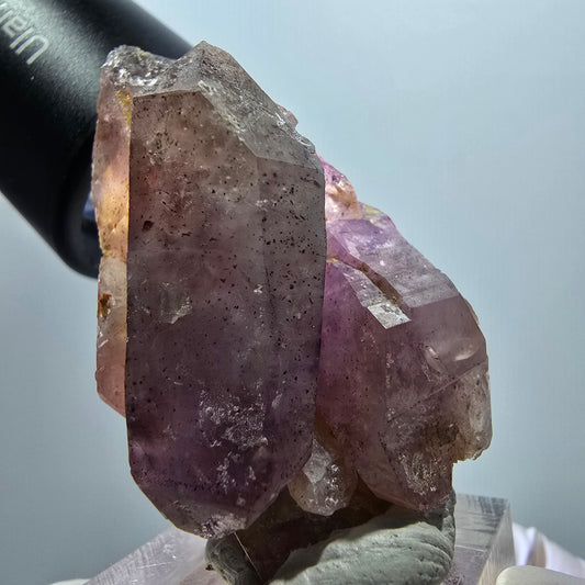 Seltene Skelett Phantom Amethyst Doppelender Spitze Goboboseb Namibia 51*34*28mm #12996