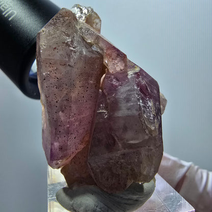 Seltene Skelett Phantom Amethyst Doppelender Spitze Goboboseb Namibia 51*34*28mm #12996
