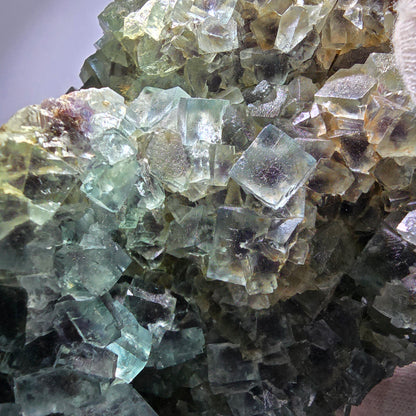 Spécimen de cube de fluorite fantôme XL, parqueté, vert violet Okorusu, Namibie 181*124*74mm 