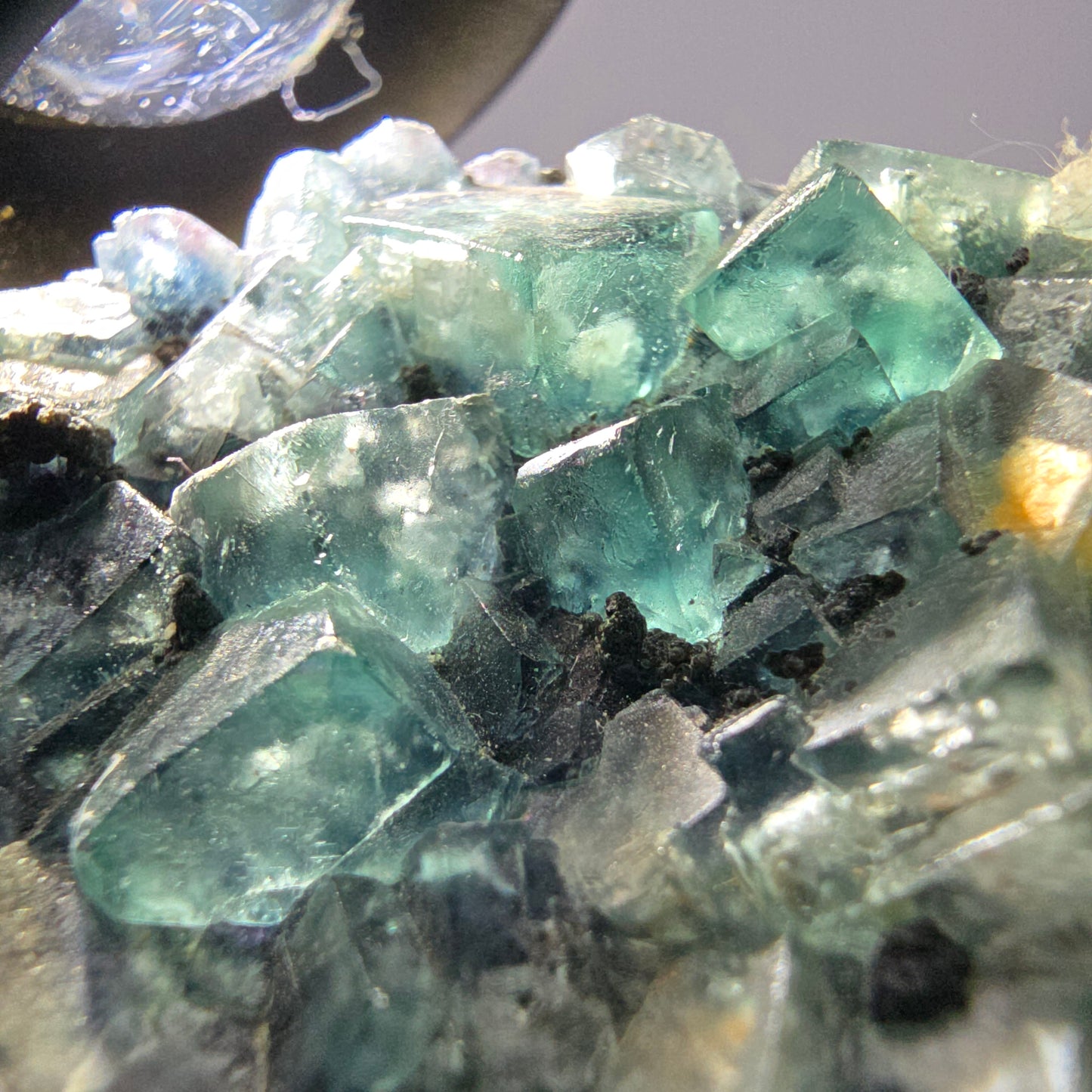 Cubes rares de fluorite fantôme zonale, vert violet, Erongo, Namibie 74 x 41 x 9 mm 