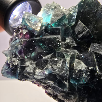 Grand spécimen de cube de fluorite fantôme zonal, nouvelle découverte ! Okorusu, Namibie, 97 x 62 x 36 mm 