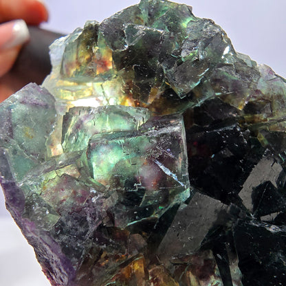 Rare spécimen de cube de fluorite fantôme, vert violet Okorusu Namibie 80*43*17 mm 