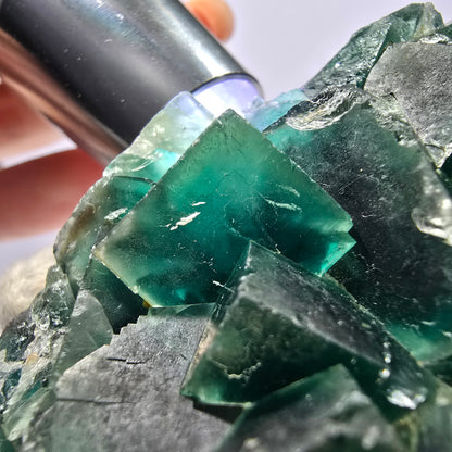 Seltene Phantom Fluorit Würfel Stufe parkettiert grün Okorusu Namibia 82*41*23mm