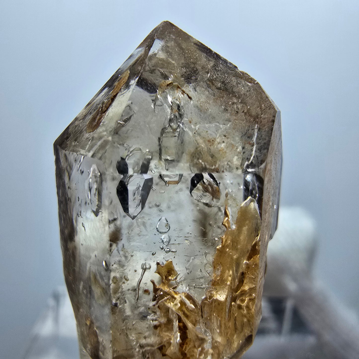 Sceptre Enhydro Phantom Smoky Quartz DT, 1x Bubble Goboboseb, Namibie 28*14*10mm 