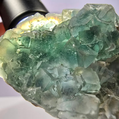 Cube de fluorite fantôme vert étagé Okorusu, Namibie 61 x 42 x 20 mm 