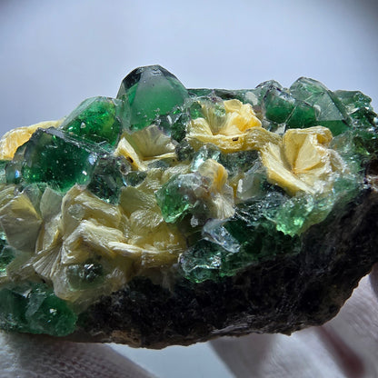 Rare Phantom Fluorite Cubes, Muscovite Specimen Erongo, Namibia 51*31*24mm 