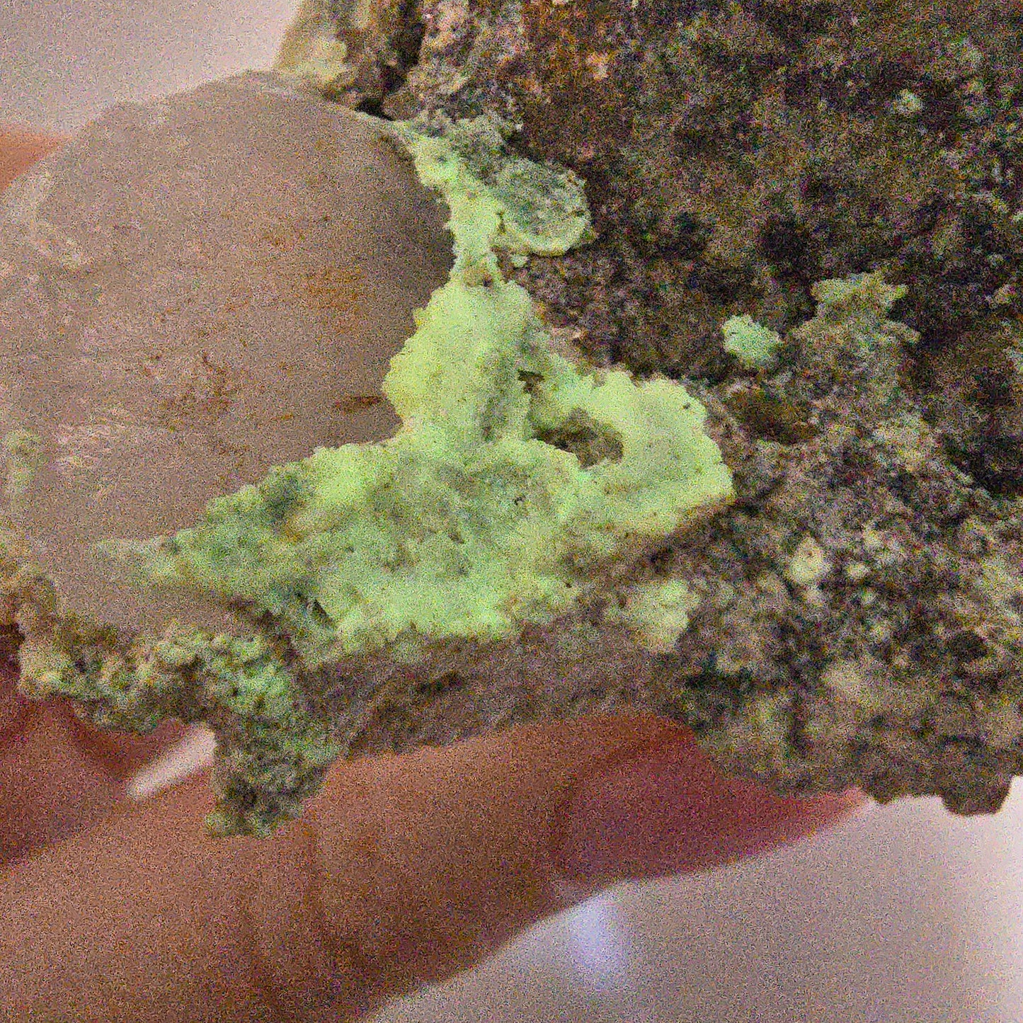 Quartz fumé Harlequin DT, calcite UV sur matrice, spécimen Valentine Pocket, Namibie, 96 x 46 x 53 mm 