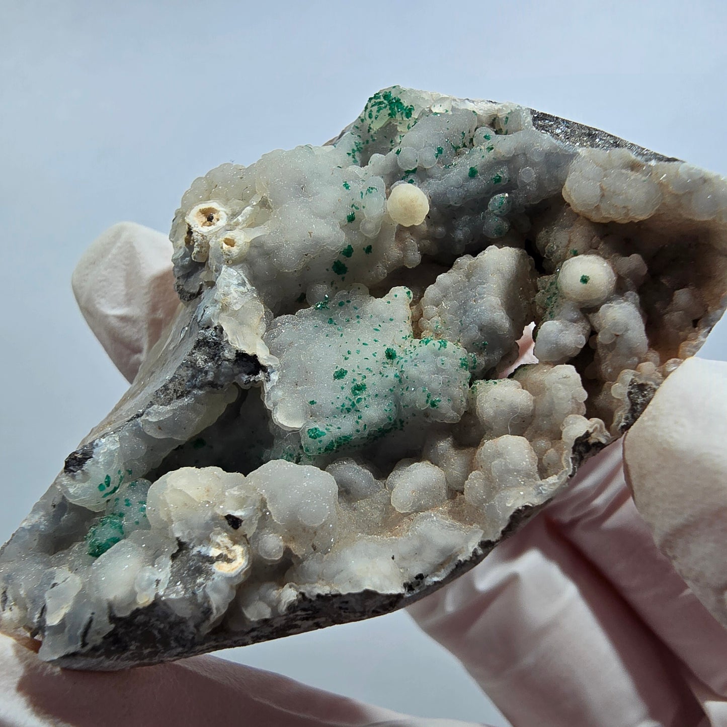 Seltene Shattuckit Kugel, Dioptas Stufe auf Matrix Kaokoveld, Namibia 51*42*17mm #13018