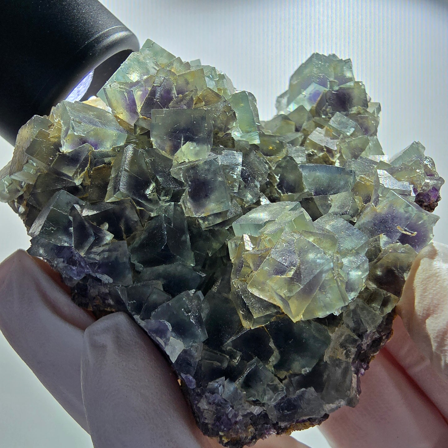 Seltene Phantom Fluorit Würfel Stufe, grün lila Okorusu, Namibia 76*69*34mm #13026