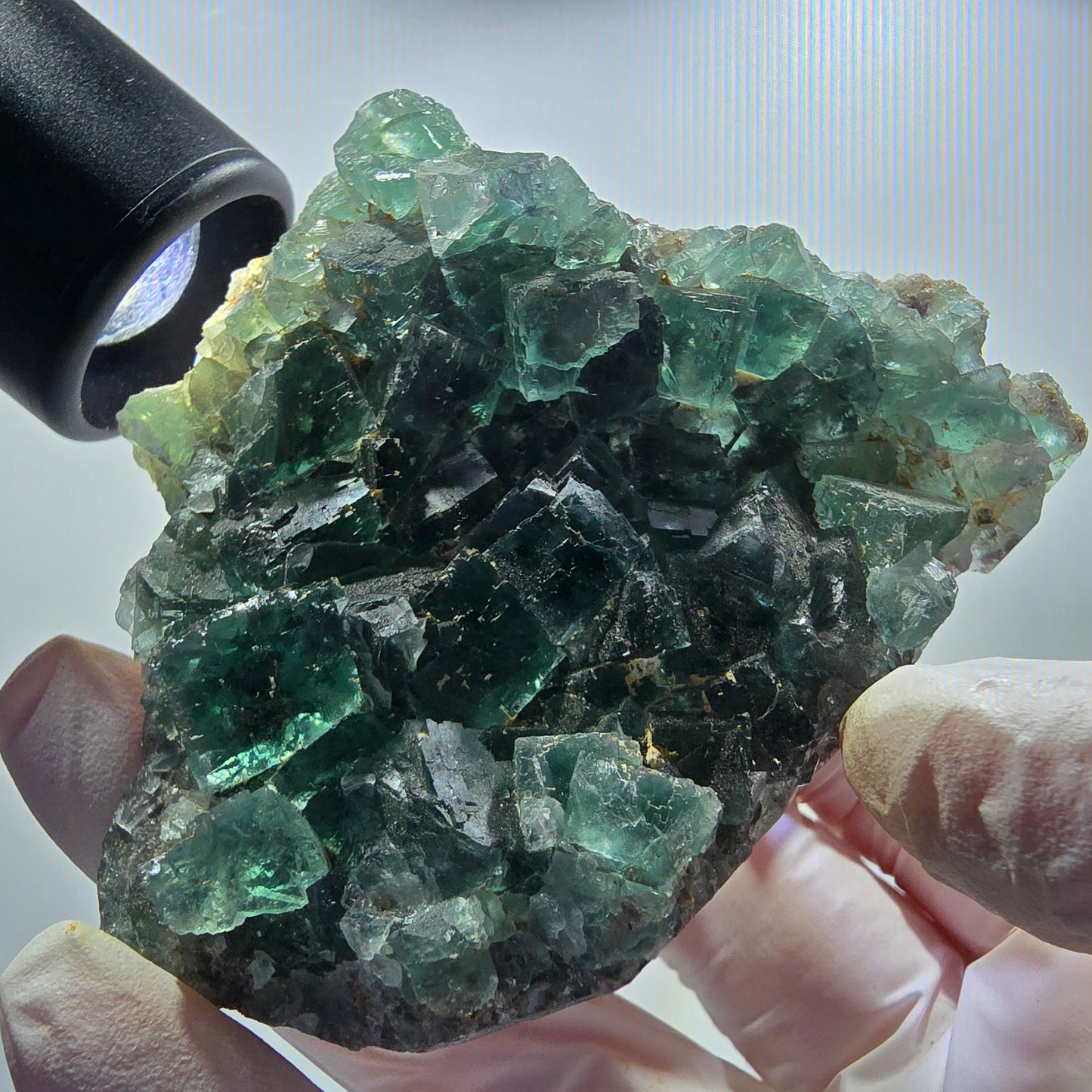 Seltene Phantom Fluorit Würfel Stufe parkettiert grün Okorusu Namibia 80*68*21mm #13027