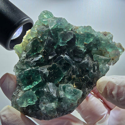 Seltene Phantom Fluorit Würfel Stufe parkettiert grün Okorusu Namibia 80*68*21mm #13027