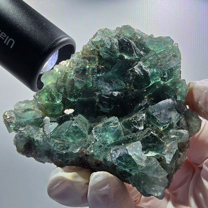 Seltene Phantom Fluorit Würfel Stufe parkettiert grün Okorusu Namibia 80*68*21mm #13027