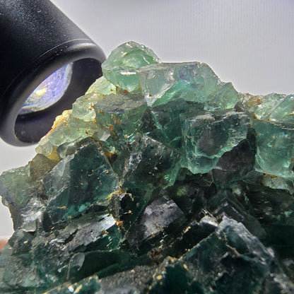 Seltene Phantom Fluorit Würfel Stufe parkettiert grün Okorusu Namibia 80*68*21mm #13027