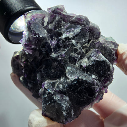 Seltene Phantom Fluorit Würfel Stufe, grün lila Okorusu, Namibia 75*52*33mm #13028
