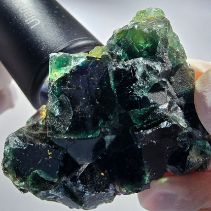 Seltene Phantom Fluorit Würfel Stufe, grün lila Okorusu, Namibia 59*47*17mm #13029