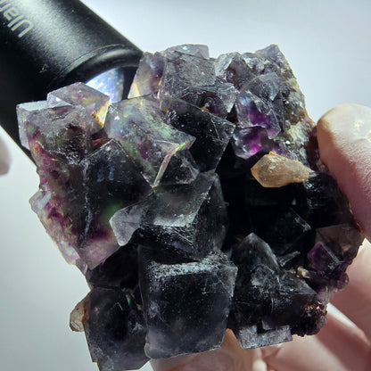 Phantom Fluorit Würfel, Quarz Stufe, grün lila Okorusu, Namibia 56*54*32mm #13030