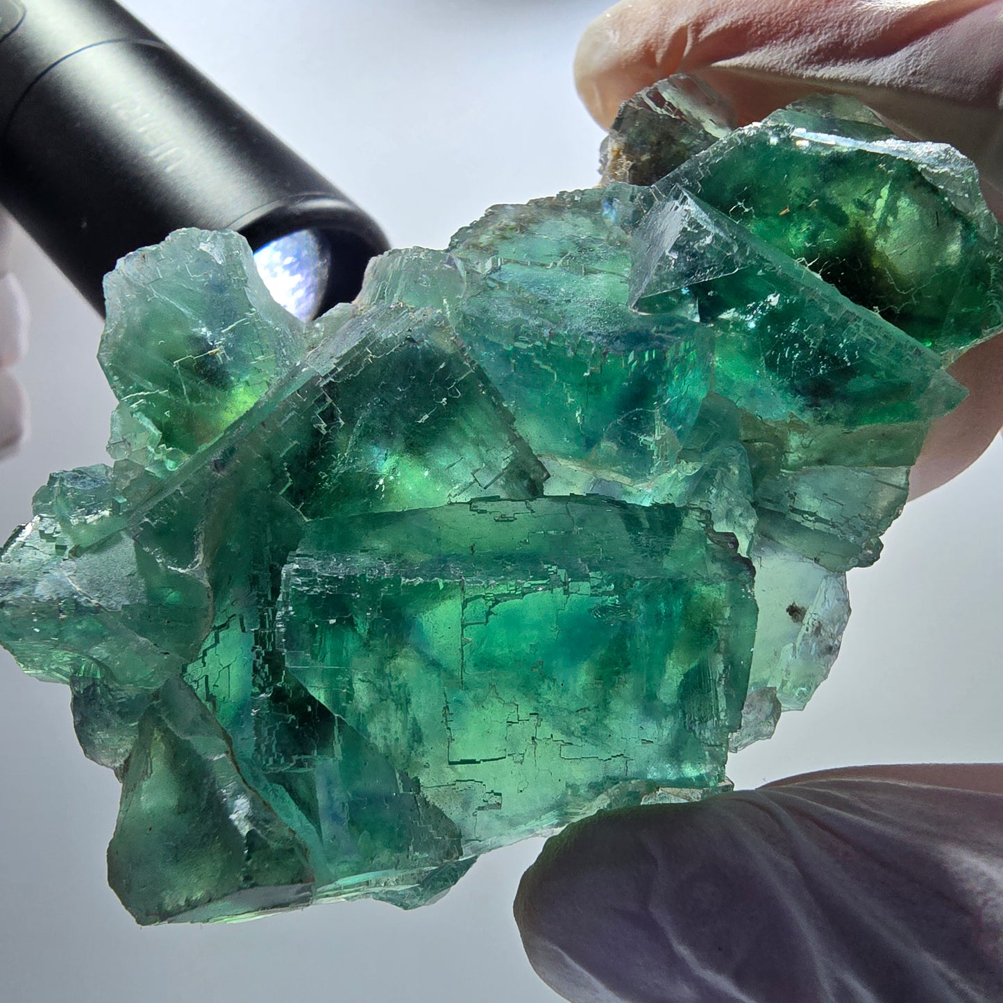 Seltene Phantom Fluorit Würfel Stufe parkettiert grün Okorusu Namibia 80*54*20mm #13031