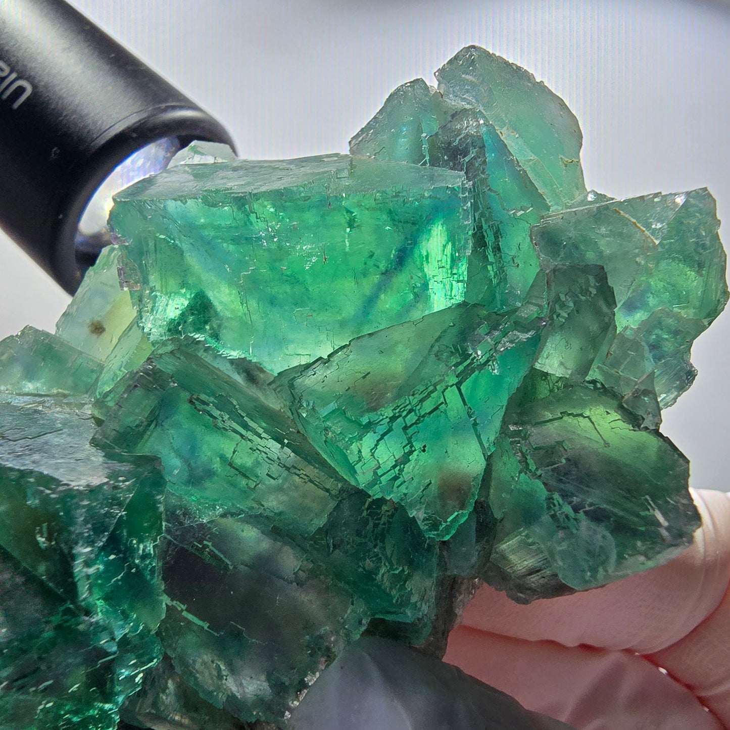 Seltene Phantom Fluorit Würfel Stufe parkettiert grün Okorusu Namibia 80*54*20mm #13031
