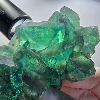 Seltene Phantom Fluorit Würfel Stufe parkettiert grün Okorusu Namibia 80*54*20mm #13031