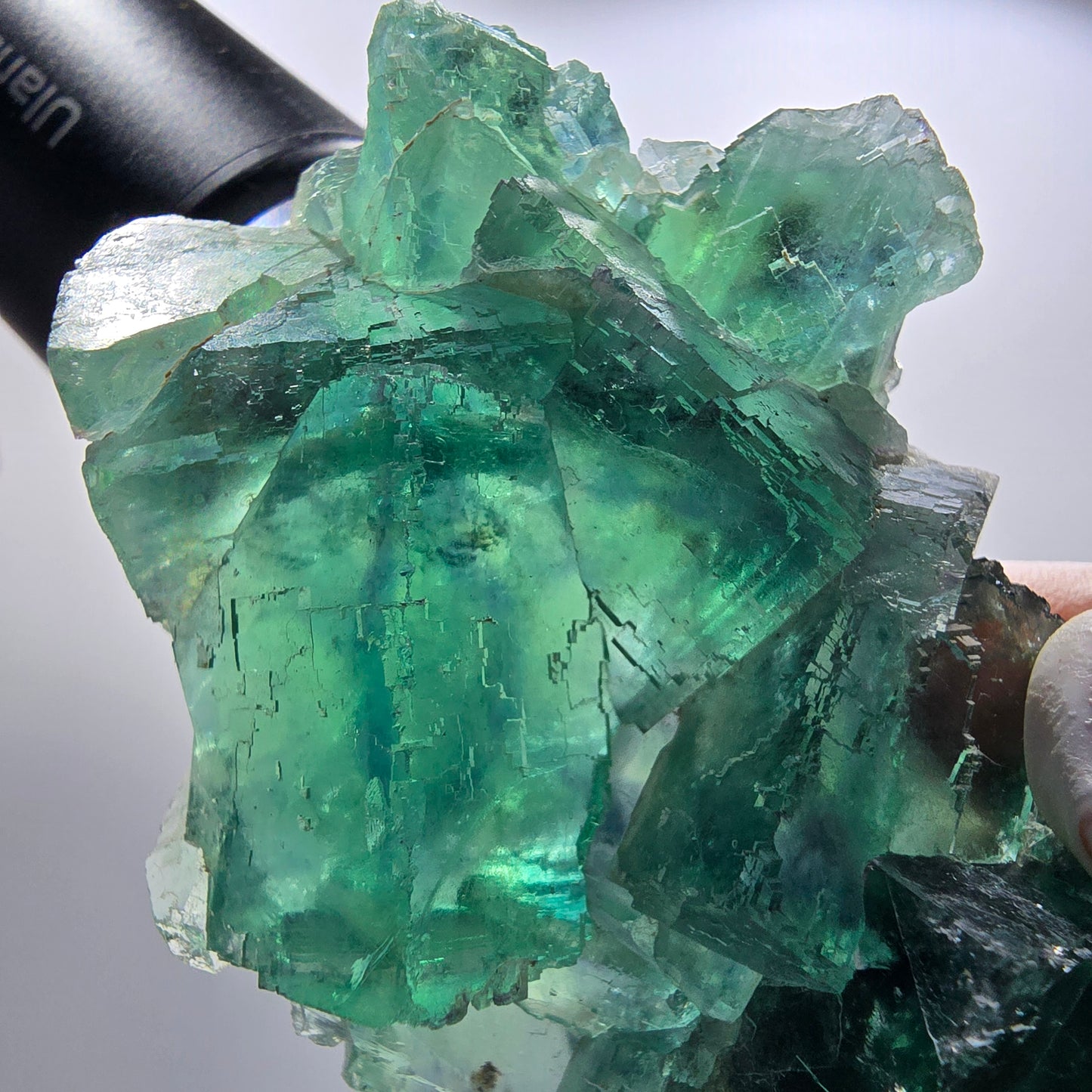 Seltene Phantom Fluorit Würfel Stufe parkettiert grün Okorusu Namibia 80*54*20mm #13031