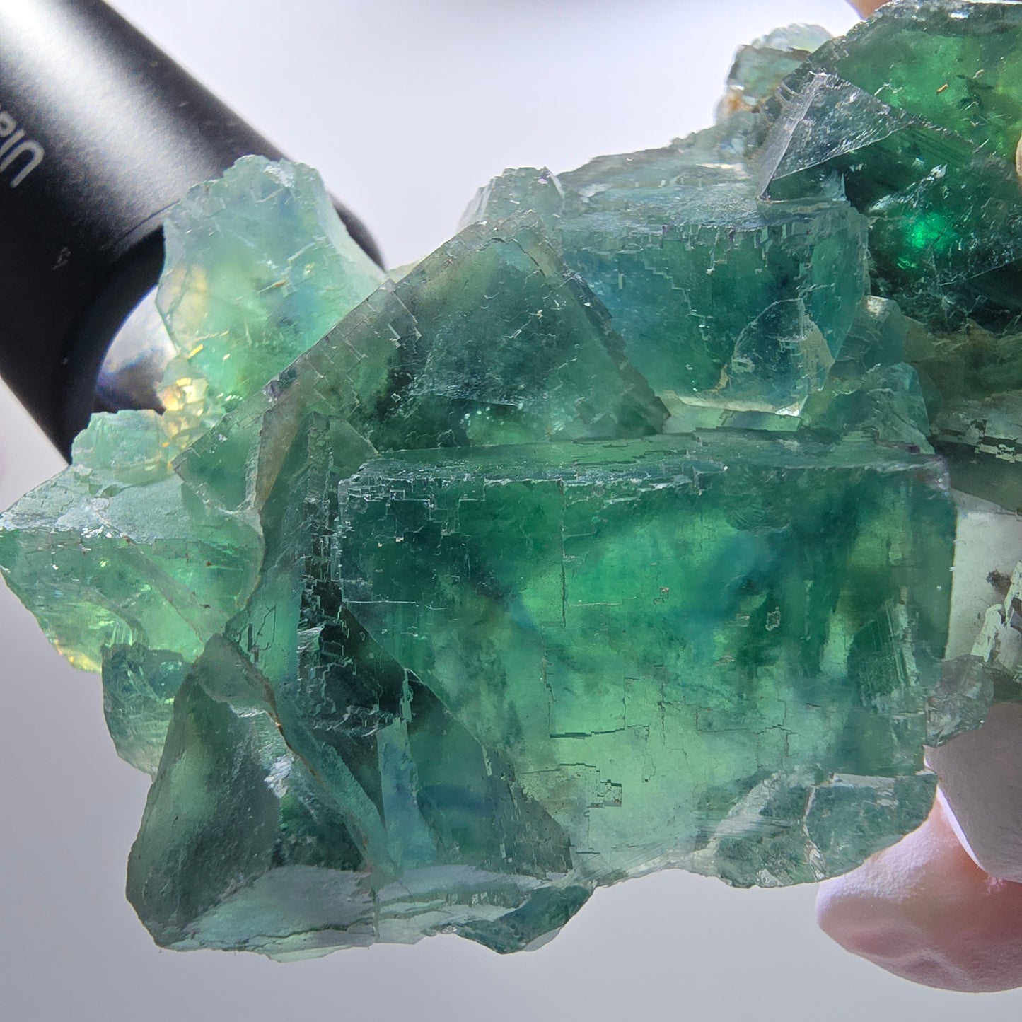 Seltene Phantom Fluorit Würfel Stufe parkettiert grün Okorusu Namibia 80*54*20mm #13031