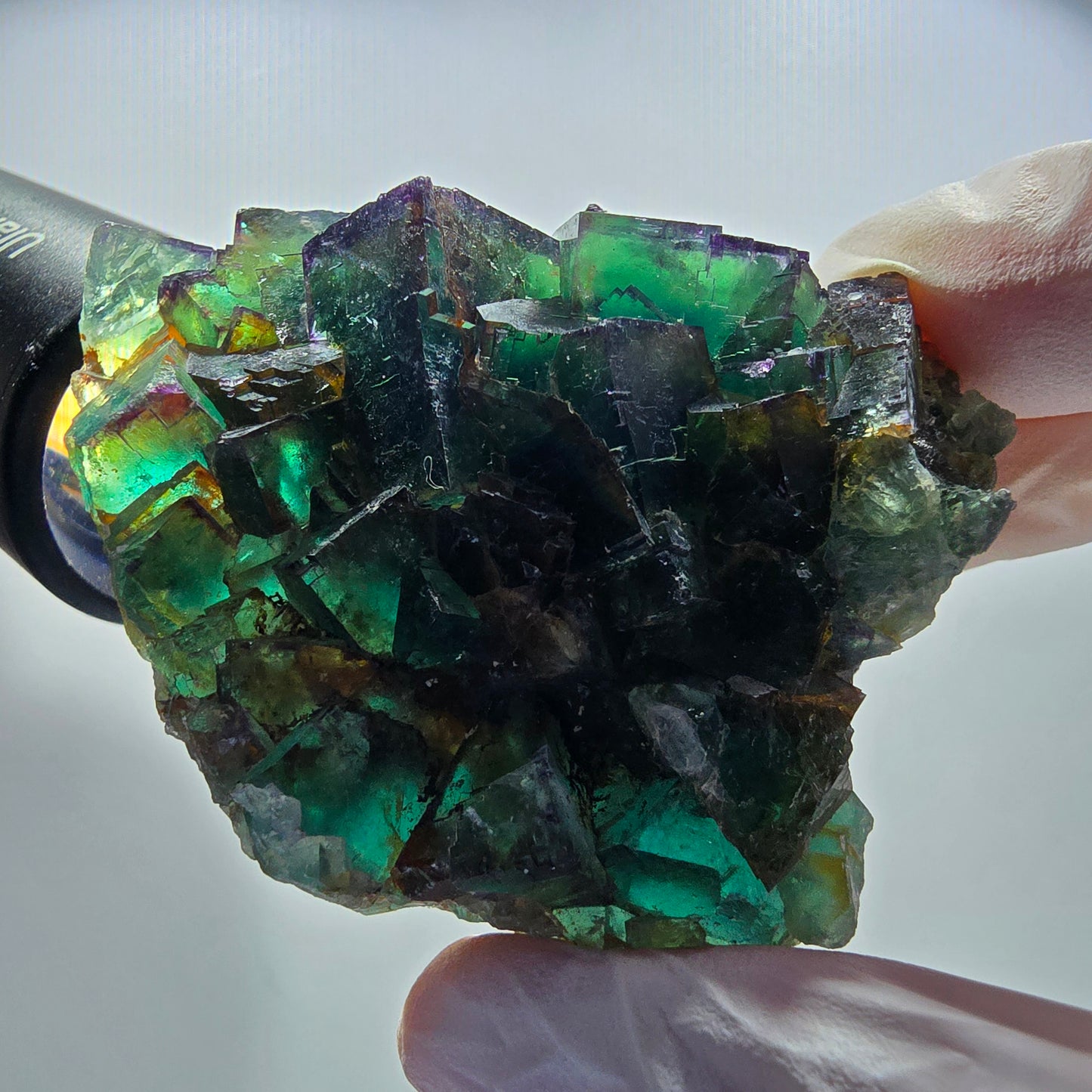 Seltene Phantom Fluorit Würfel Stufe, grün lila Okorusu, Namibia 63*56*21mm #13032