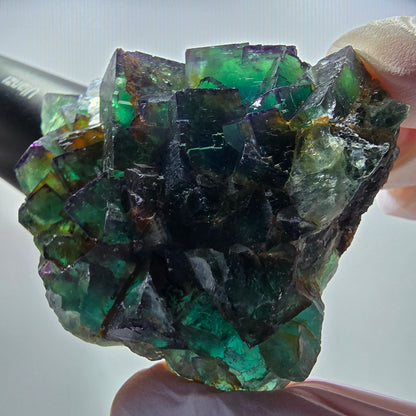 Seltene Phantom Fluorit Würfel Stufe, grün lila Okorusu, Namibia 63*56*21mm #13032
