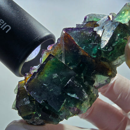 Seltene Phantom Fluorit Würfel Stufe, grün lila Okorusu, Namibia 63*56*21mm #13032