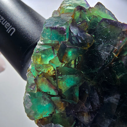 Seltene Phantom Fluorit Würfel Stufe, grün lila Okorusu, Namibia 63*56*21mm #13032