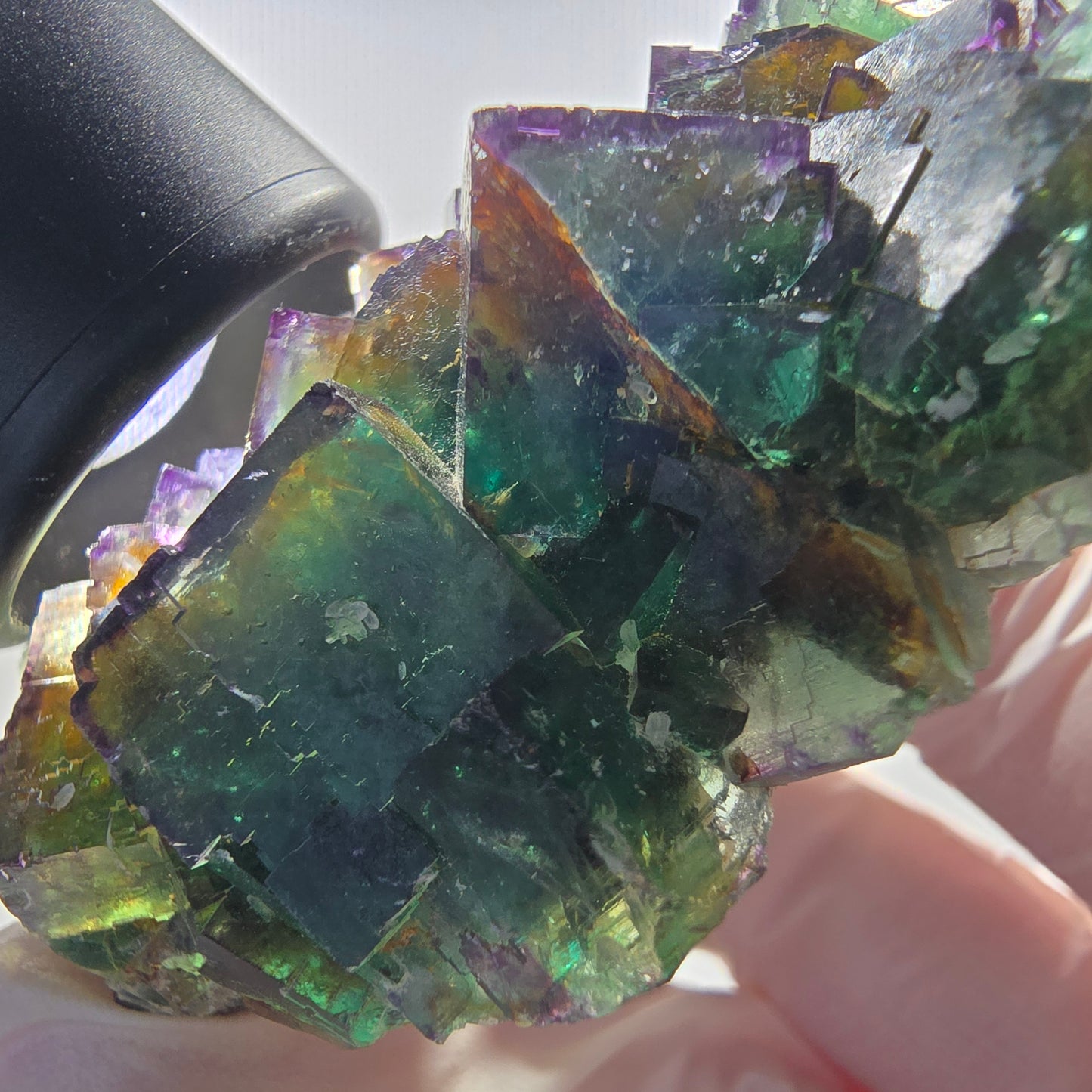 Seltene Phantom Fluorit Würfel Stufe, grün lila Okorusu, Namibia 63*56*21mm #13032