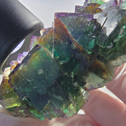 Seltene Phantom Fluorit Würfel Stufe, grün lila Okorusu, Namibia 63*56*21mm #13032