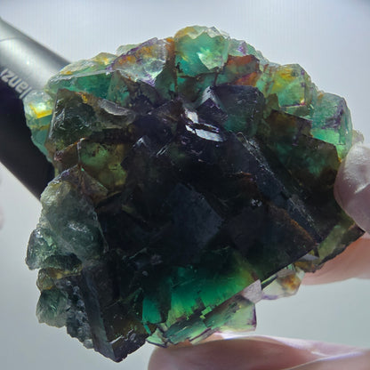 Seltene Phantom Fluorit Würfel Stufe, grün lila Okorusu, Namibia 63*56*21mm #13032