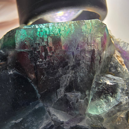 Seltene Phantom Fluorit Würfel Stufe, grün lila Okorusu, Namibia 73*48*32mm #13033