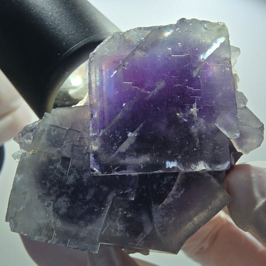 Seltene Phantom Fluorit Würfel Stufe, lila weiß Okorusu, Namibia 65*56*34mm #13035