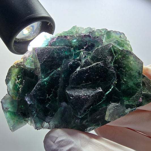 Seltene Phantom Fluorit Würfel Stufe parkettiert grün Okorusu Namibia 77*69*33mm #13036