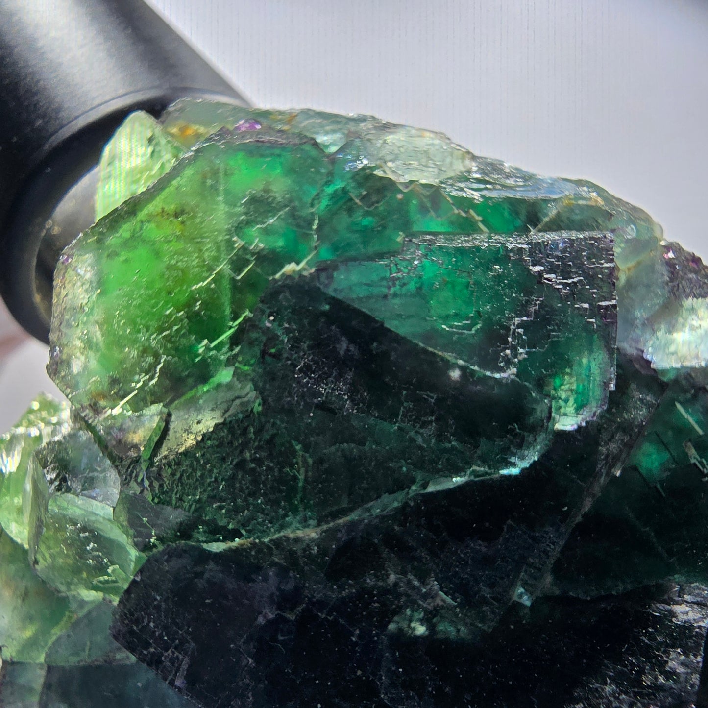 Seltene Phantom Fluorit Würfel Stufe parkettiert grün Okorusu Namibia 77*69*33mm #13036