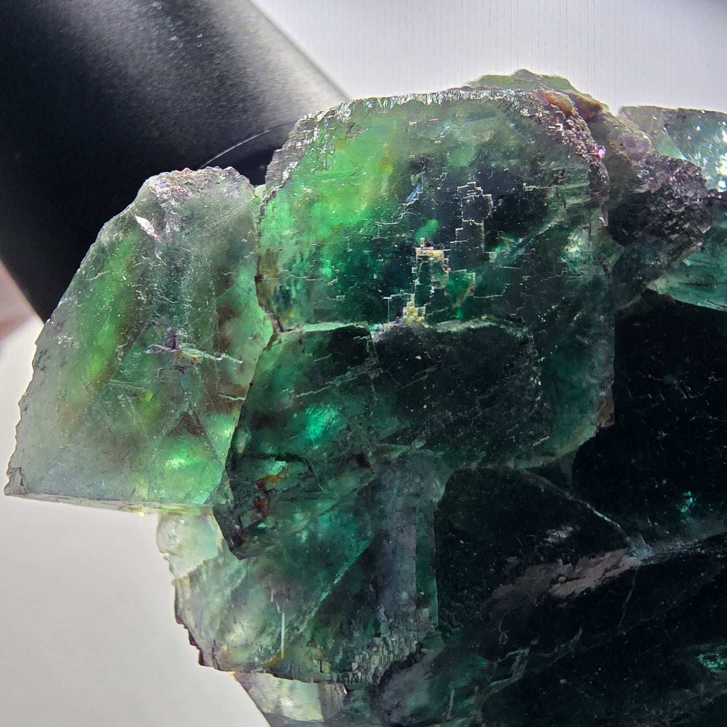 Seltene Phantom Fluorit Würfel Stufe parkettiert grün Okorusu Namibia 77*69*33mm #13036