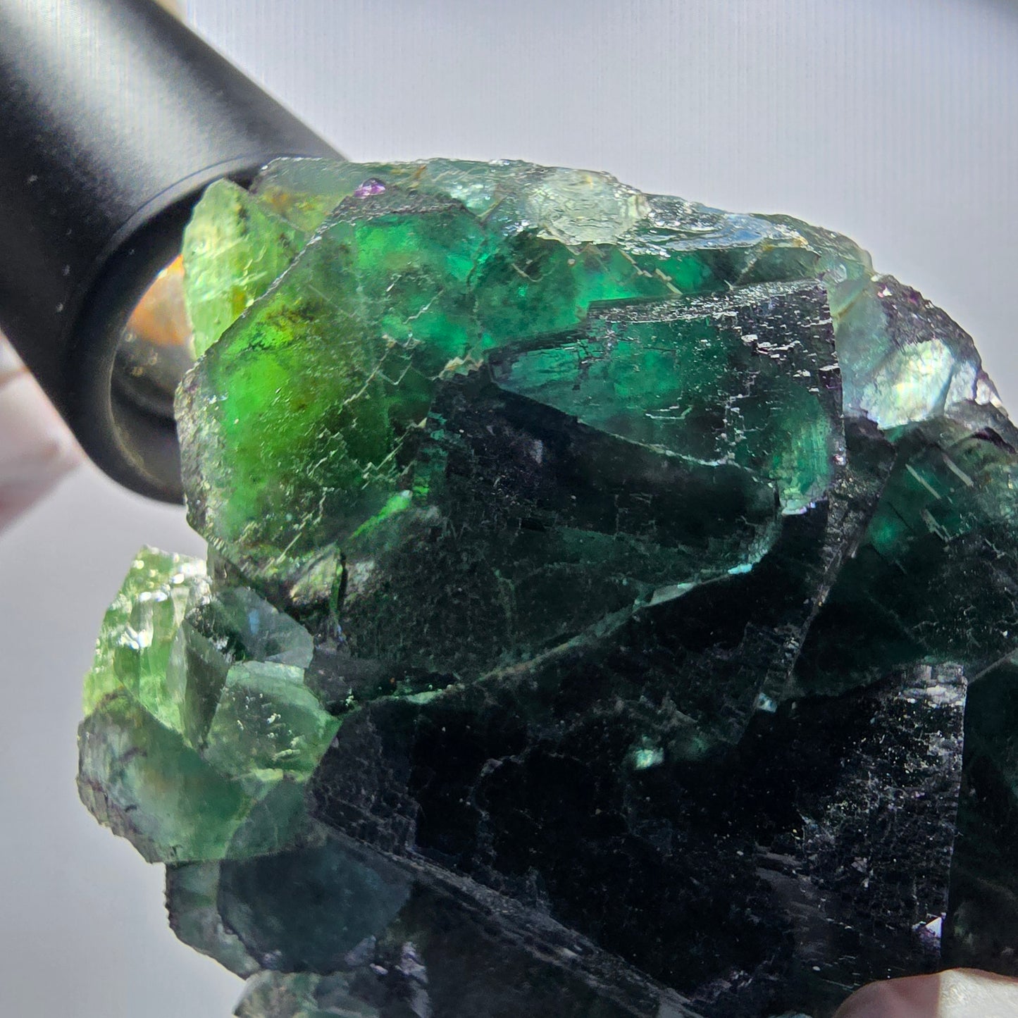 Seltene Phantom Fluorit Würfel Stufe parkettiert grün Okorusu Namibia 77*69*33mm #13036