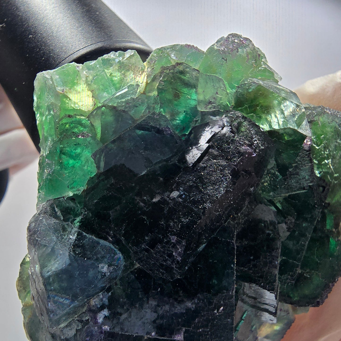 Seltene Phantom Fluorit Würfel Stufe parkettiert grün Okorusu Namibia 77*69*33mm #13036