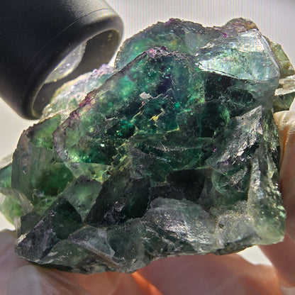 Seltene Phantom Fluorit Würfel Stufe parkettiert grün Okorusu Namibia 77*69*33mm #13036