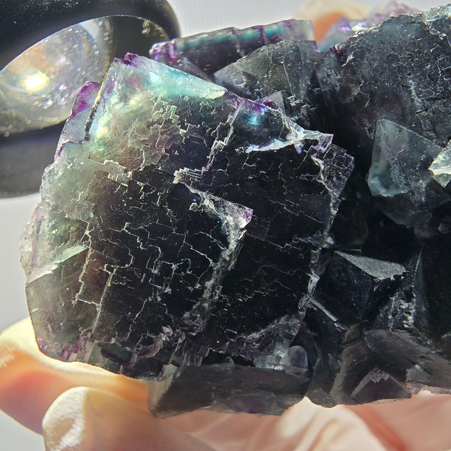 Phantom Fluorit Würfel Stufe, parkettiert grün lila Okorusu, Namibia 65*59*32mm #13037