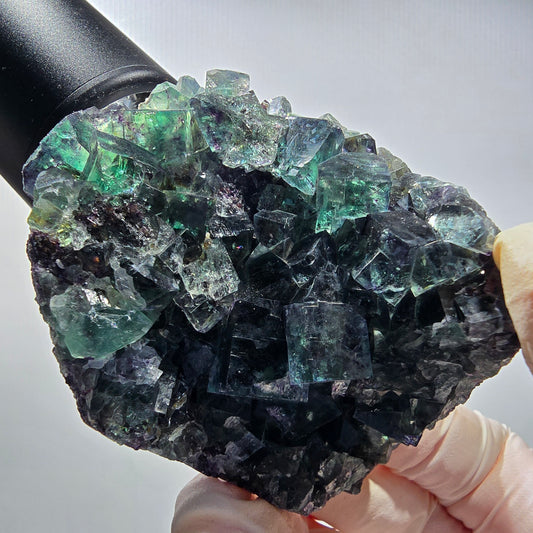 Seltene Phantom Fluorit Würfel Stufe, grün lila Okorusu, Namibia 69*53*39mm #13038