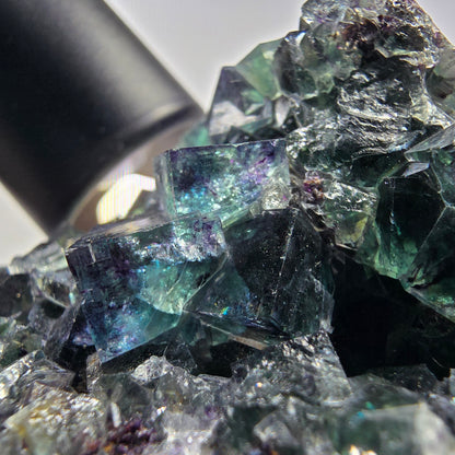 Seltene Phantom Fluorit Würfel Stufe, grün lila Okorusu, Namibia 69*53*39mm #13038